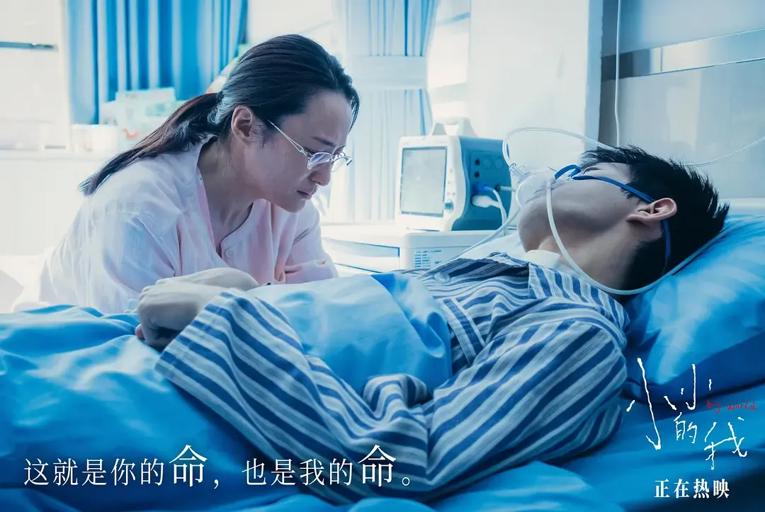 Featured image of post 小小的我影评